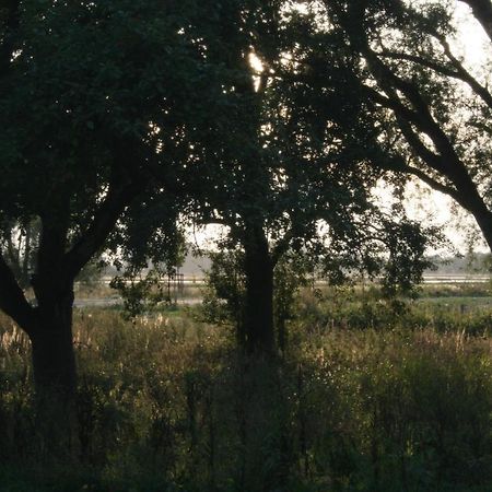 Landhaus An Der Wiek Poseritz Esterno foto