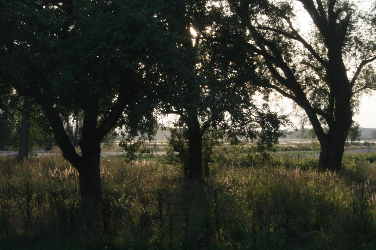 Landhaus An Der Wiek Poseritz Esterno foto
